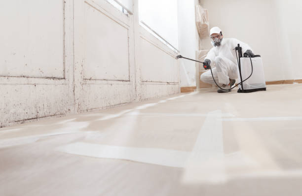 24/7 Emergency Mold Testing experts in Ashland, PA